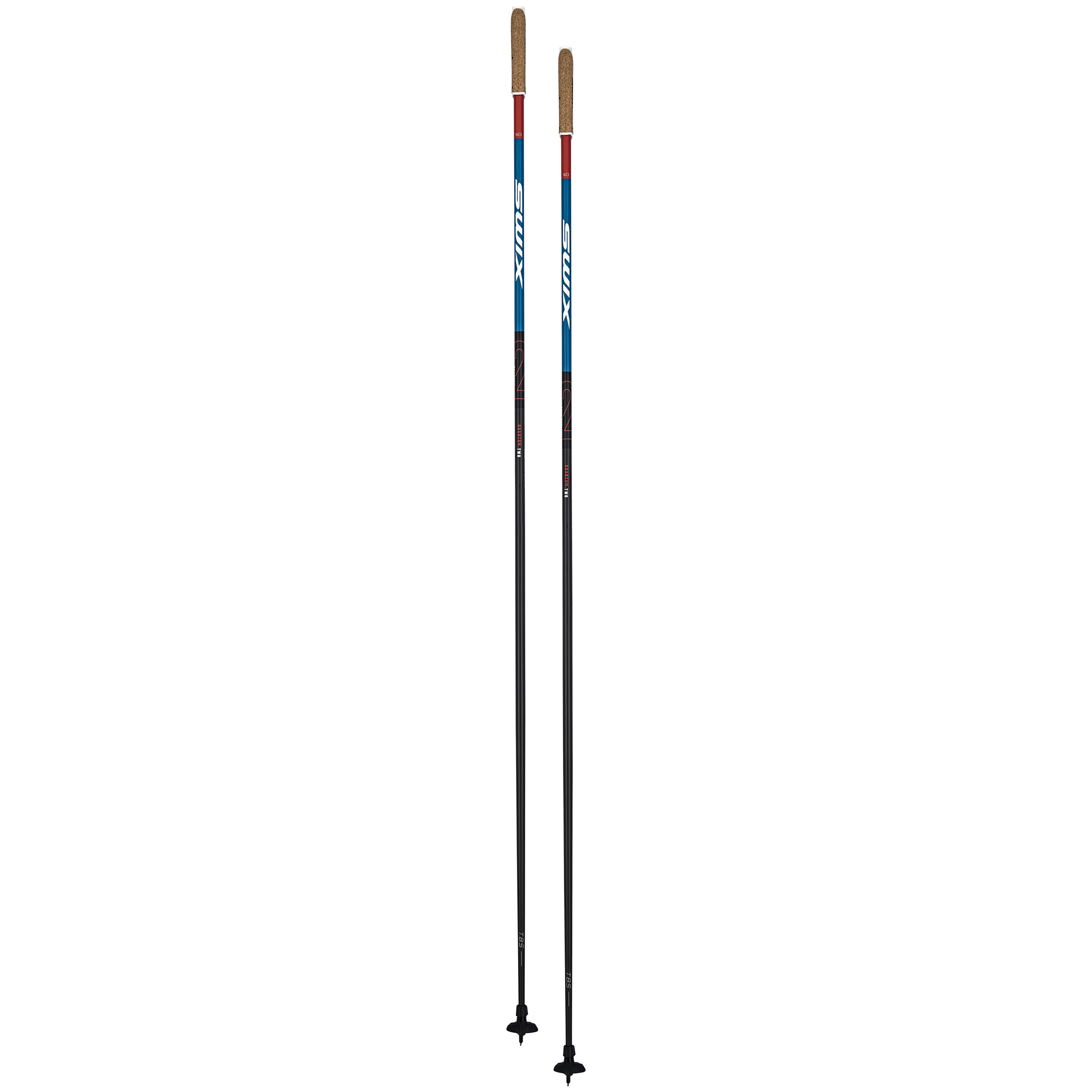 Quantum Q2 Pole Kit | Swix